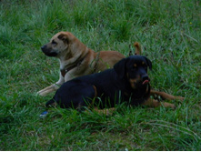 �� ����� \"��������\" �������