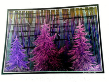 \"���\".2011�./�������-2/.   