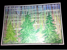 \"���\".2011�./������� -1/.  