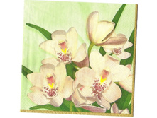 № 51   5  ���  1/4