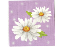 № 52    1/4    3 ���