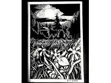 \"������\".2010�.    