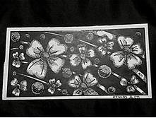 \"����� �� ������\".2006�. 