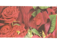 №56   1/2  ��������   5 ���