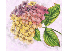 №57   10 ���  1/4