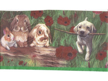 №58   1/2 ��������   8 ���