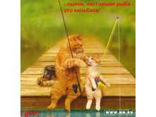 17.04.2008 10:51:06