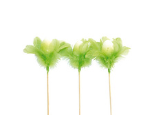 ����� ���������� ��� �� �����, �������������� ����� 3 ��, 24 ��, 25 ���