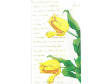 № 61 ������ �������