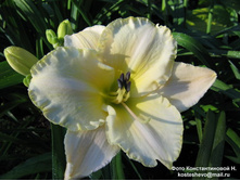 �������� ������ ����.JPG