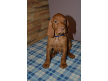 ����� ����� �������