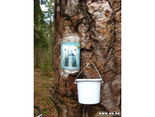 ������ � ������� ��� �������������