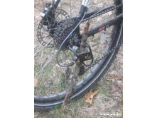 ������ ������� ���������