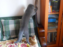 � � ��� ���� ����������....