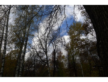 P1000183_.JPG
