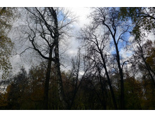 P1000187_.JPG