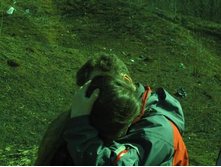 ����������� 118