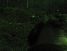 ����������� 121