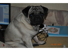 ����������� 001.jpg