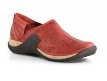 ���� 2134 ���� ���� ������ 37