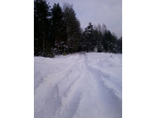 ��������� ����� ��������