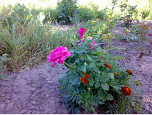 ������� ����.jpg