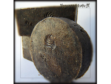 "��������� ����" 200 ���