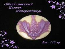 IMG_6113 (Medium).JPG