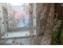 IMG_0785_����� ������.JPG