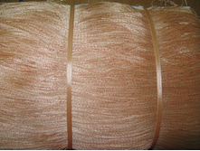 ���� �� ��������