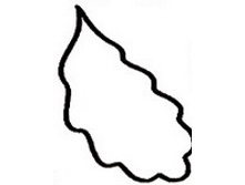 43,13 �  ������ ����.jpg