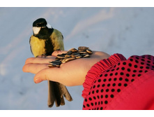 ������� ������ ������� � ���������.jpg