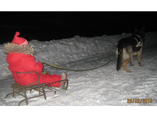 ����-���� �������������� �������� �����.JPG