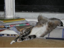 ���������