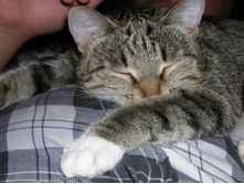 �������