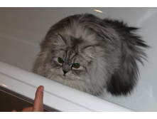 ����������� 011.jpg