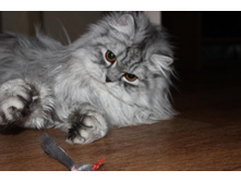 ����������� 023.jpg