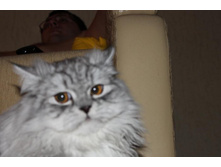 ����������� 026.jpg