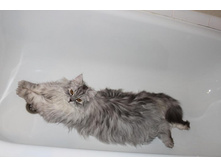 ����������� 030.jpg