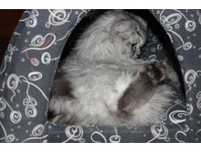 ����������� 092.jpg