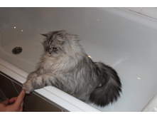 ����������� 005.jpg