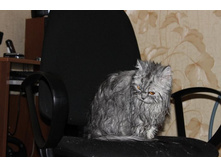 ����������� 029.jpg