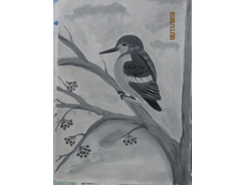 ����������� 284.jpg