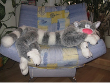 ������ ������� \"���\",500���.