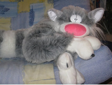 ��� �� ��