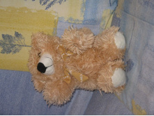 ����������, 100���