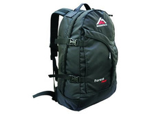 Forest Prof grey.jpg