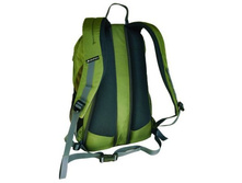 Spider green back.jpg