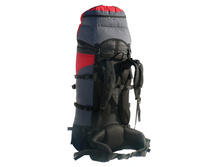 �����-80 back.jpg