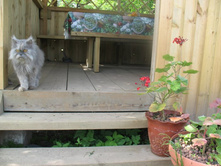 ������� 177.jpg